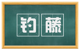 钓藤