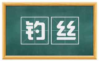 钓丝