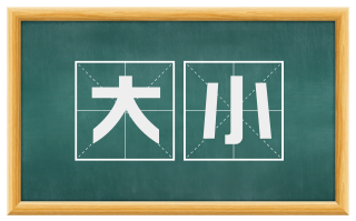 大小