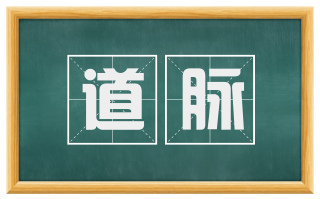 道脉