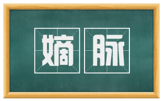 嫡脉