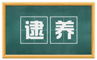 逮养