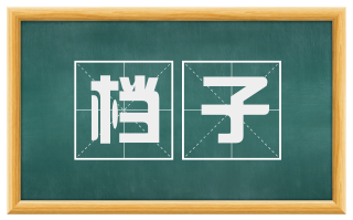 档子