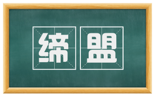缔盟