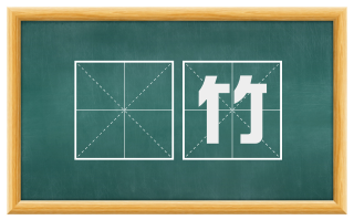 攧竹