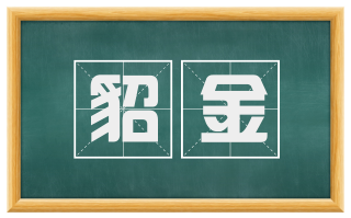 貂金