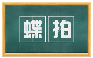 蝶拍