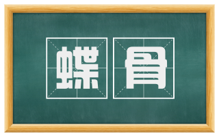 蝶骨