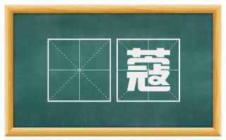 荳蔻