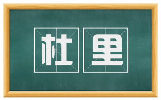 杜里