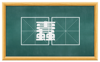 蠹蟫