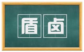 盾卤