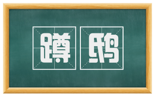 蹲鸱