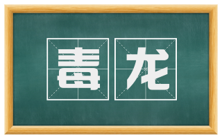 毒龙