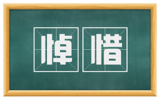 悼惜