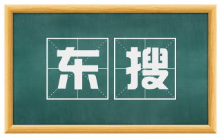 东搜
