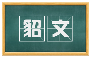 貂文