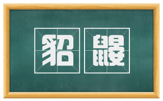 貂鼹