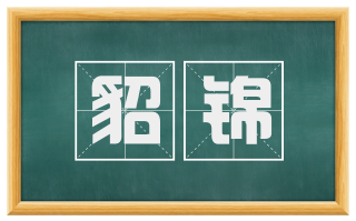 貂锦