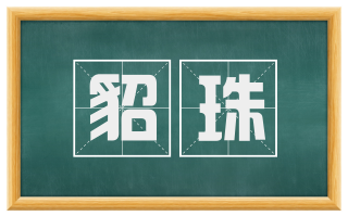 貂珠