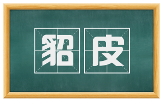 貂皮