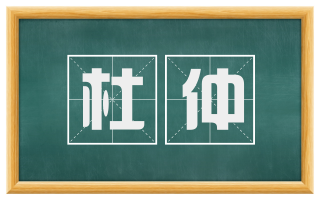 杜仲