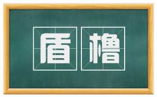 盾橹