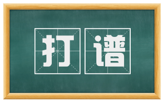 打谱