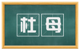 杜母