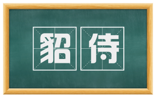 貂侍