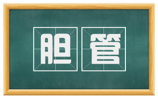 胆管