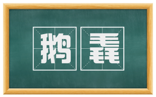 鹅毳