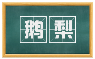 鹅梨