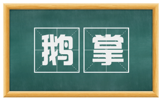 鹅掌