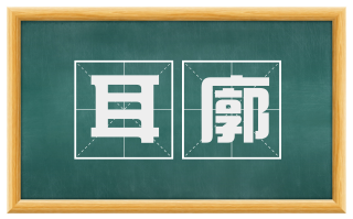 耳廓