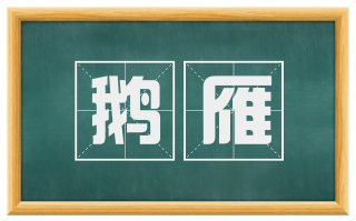 鹅雁