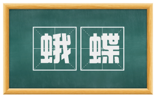 蛾蝶