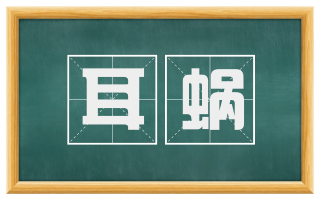 耳蜗