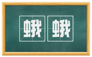 蛾蛾