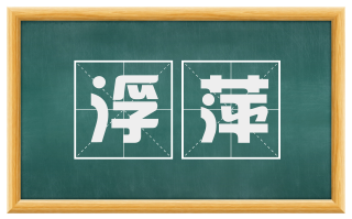 浮萍