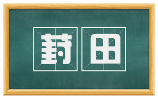 葑田