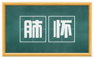 肺怀