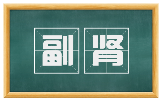副肾