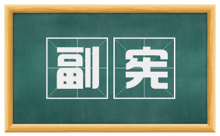 副宪