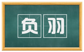 负羽