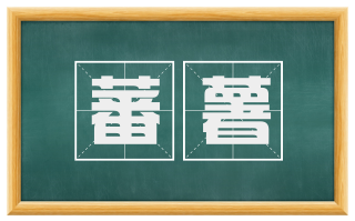 蕃薯