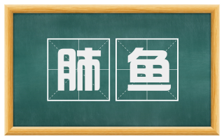 肺鱼