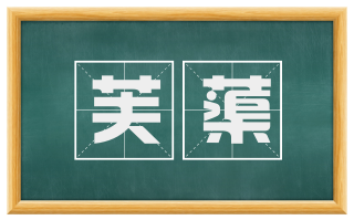 芙蕖