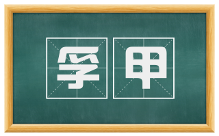 孚甲