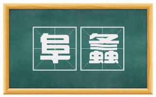 阜螽